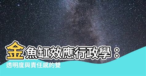 金魚缸效應行政學|行政透明化：金魚缸效應解讀